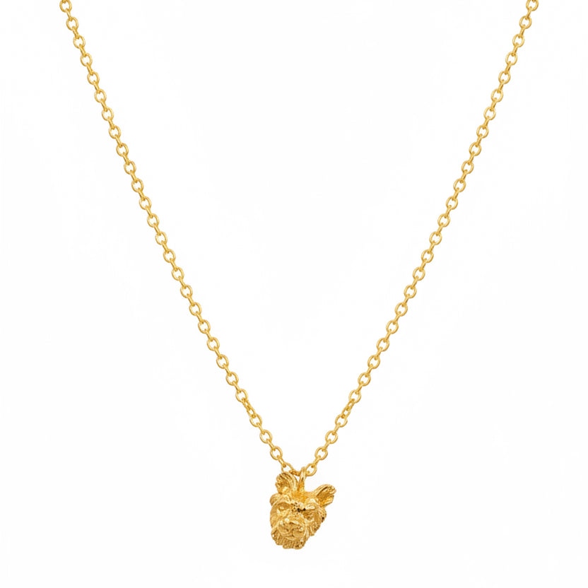 COLLAR YORKIE - BAÑO DE ORO 24K