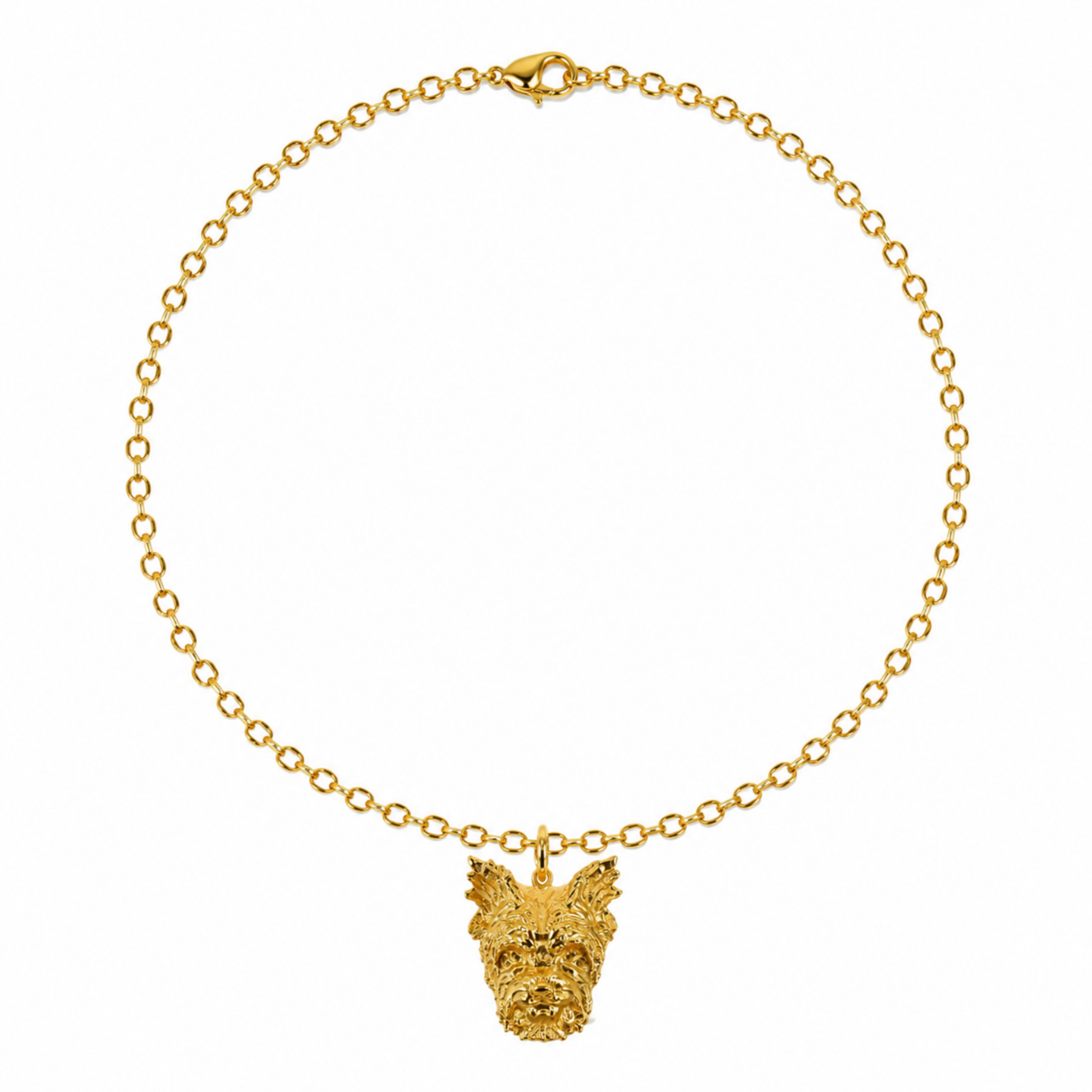 Collar perro Yorkie bronce baño de oro 24k.