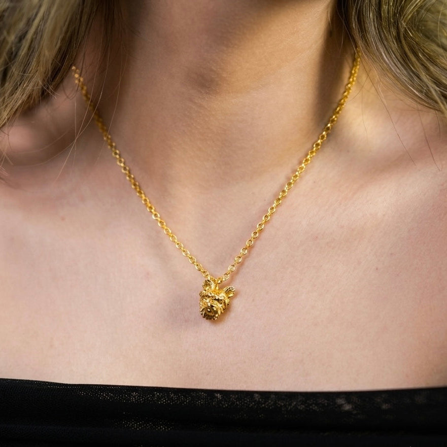 COLLAR YORKIE - BAÑO DE ORO 24K