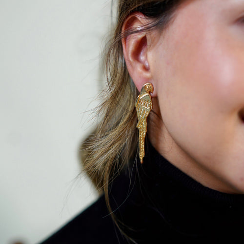 ARETES GUACAMAYA