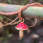 CANDONGA MICELIO